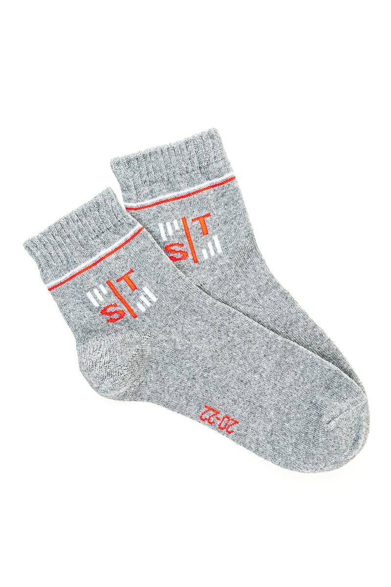 Шкарпетки для хлопчиків, сірі 602036616-023