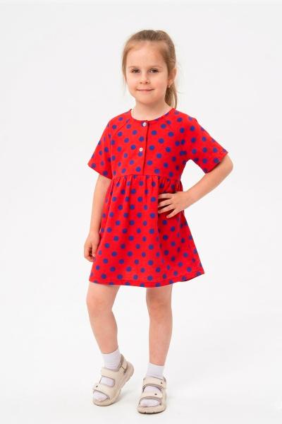 Сукня для дівчинки, червона 180690146-039