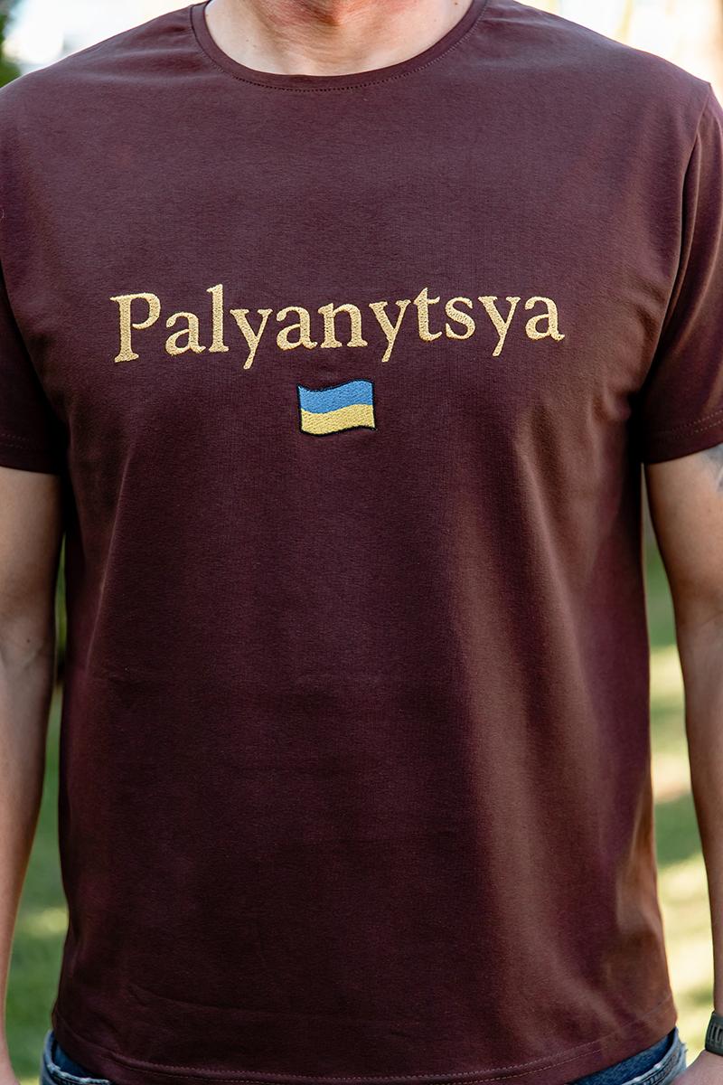 Футболка з вишивкою Palyanytsya, коричнева 480805111-610