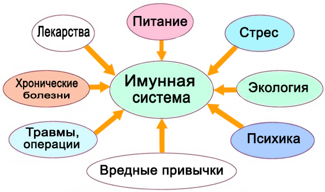 Как повысить иммунитет