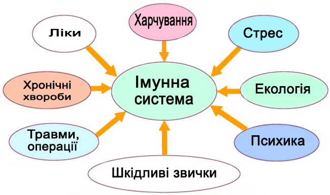 Імунна систем